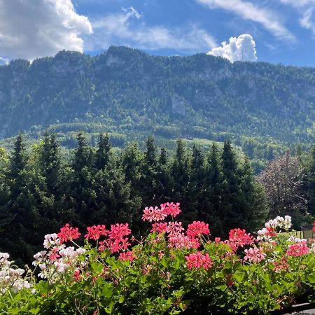 Ferienwohnung Mit Seeblick, Unterach Am Attersse Unterach am Attersee Εξωτερικό φωτογραφία