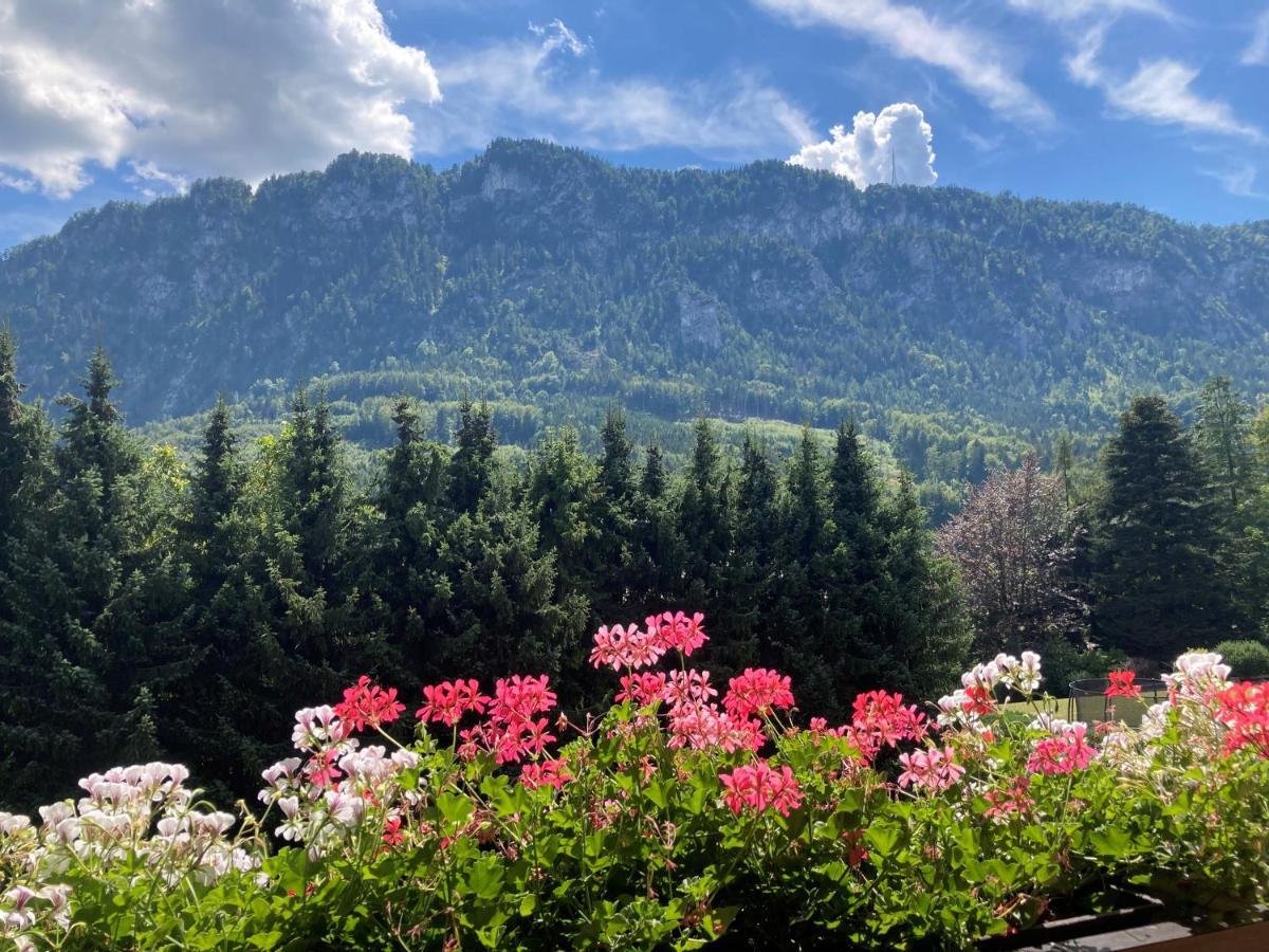 Ferienwohnung Mit Seeblick, Unterach Am Attersse Unterach am Attersee Εξωτερικό φωτογραφία
